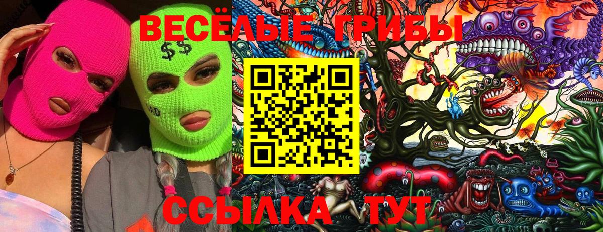 Ставрополь  Галлюциногенные грибы Magic Shrooms  Галлюциногенные грибы мицелий  Вход с VPN 